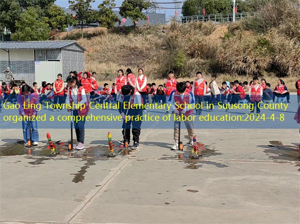 Gao Ling Township Central Elementary School in Suusong County organized a comprehensive practice of labor education